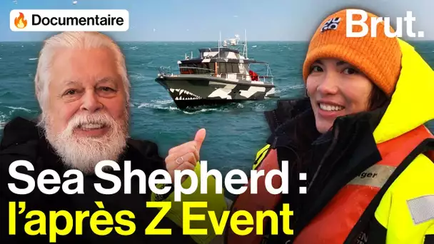 Avec LittleBigWhale et Paul Watson à bord du Walrus, le bateau financé par le Z Event