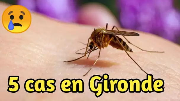 La France est confrontée à un nouveau virus dangereux !!!