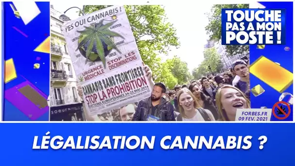 Selon le député François-Michel Lambert, le cannabis "sera légalisé en France d'ici 2 à 3 ans"