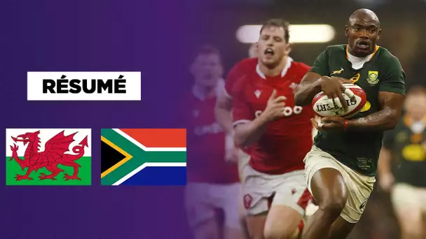 Résumé Rugby : L'Afrique du Sud renverse les Gallois