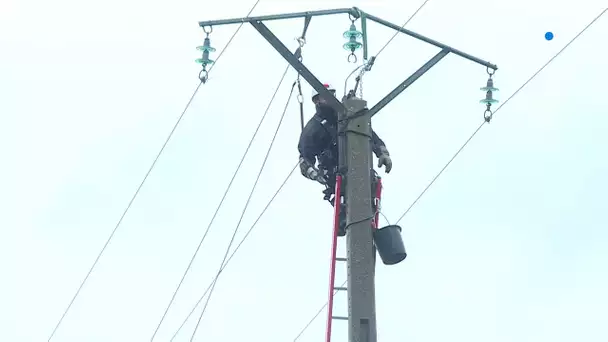 Météo-France : des rafales de vent jusqu’à 117 km/h en Saône-et-Loire et des coupures d'électricité