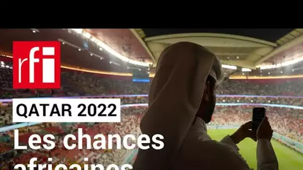 Qatar 2022 : tour d'horizon des équipes africaines  • RFI