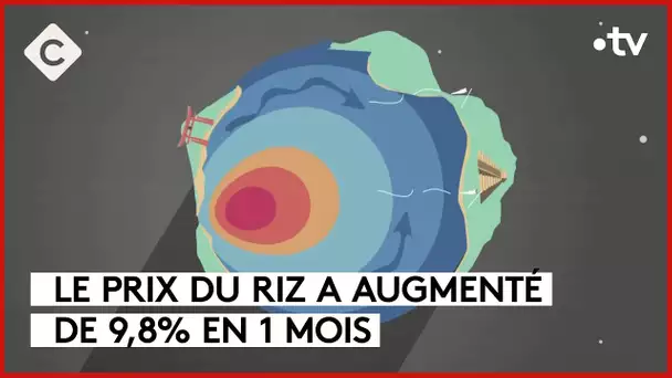 Quand le changement climatique fait grimper le prix du riz - L’info en + - C à vous - 19/09/2023