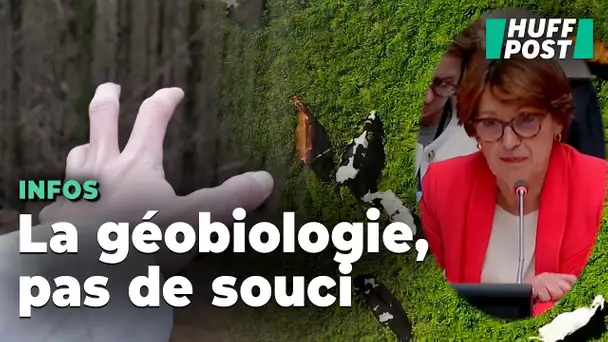 L'inquiétant relativisme de la ministre de l'Agriculture sur la géobiologie