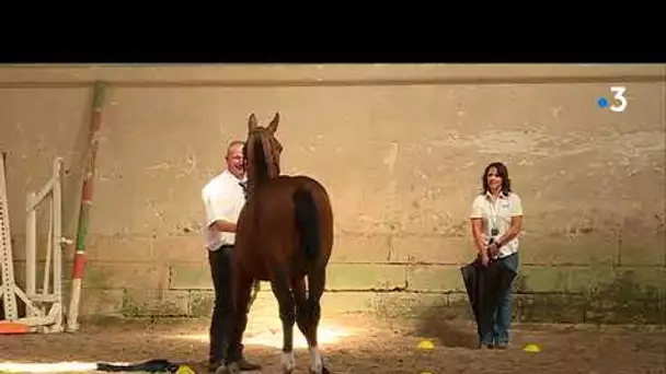 30 ans Normandie Horse Show