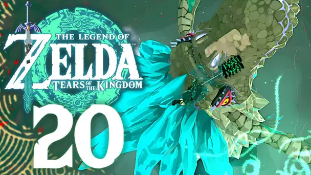 ZELDA TEARS OF THE KINGDOM #20 | RENCONTRE AVEC LE DRAGON NEDRAC !