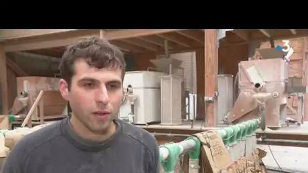 Dans le Finistère, les meuniers assurent la production de pain et de céréales pendant le confinement