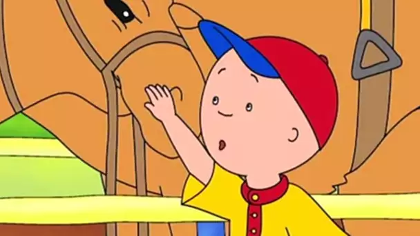 Caillou en Français | Caillou et le Chameau | 522 | dessin animé | NOUVEL ÉPISODE HD