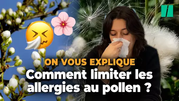 Les bons gestes à adopter pour lutter contre les allergies au pollen