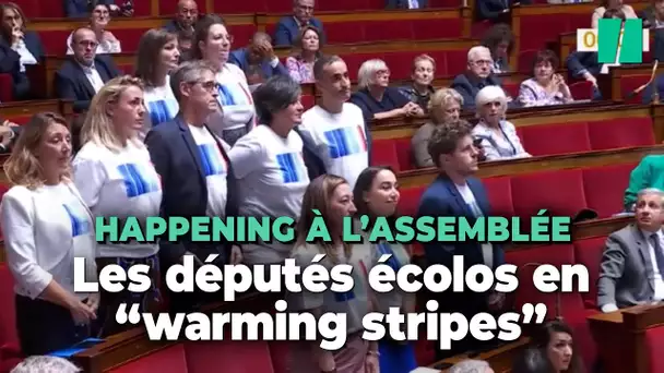 À l'Assemblée nationale, les députés écolos s'affichent avec des "warming stripes" en pleine séance