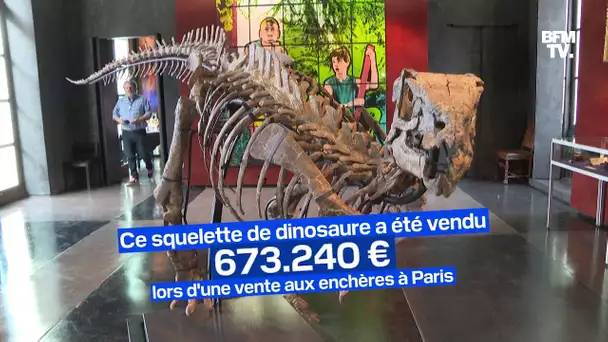 Ce squelette de dinosaure a été vendu plus de 600.000€ lors d'une vente aux enchères à Paris