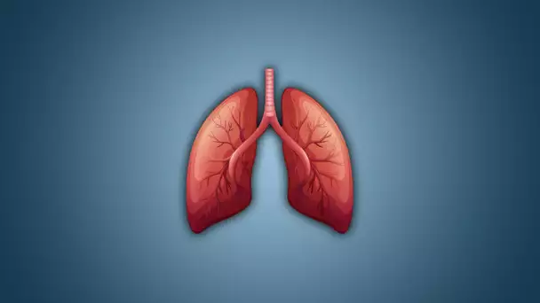 4 ou 5 choses que vous ignorez sur la respiration - 32 - e-penser