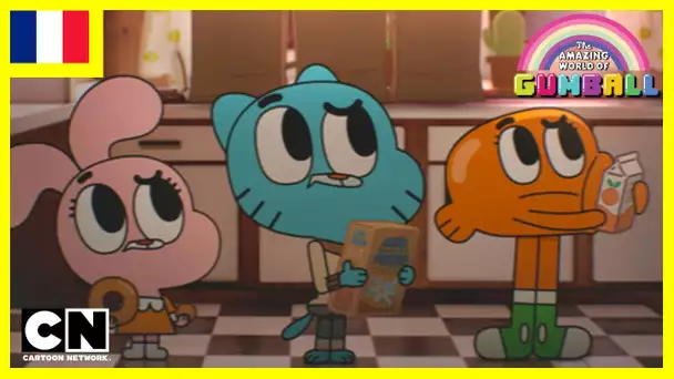 Le Monde Incroyable de Gumball 🇫🇷| Le trésor