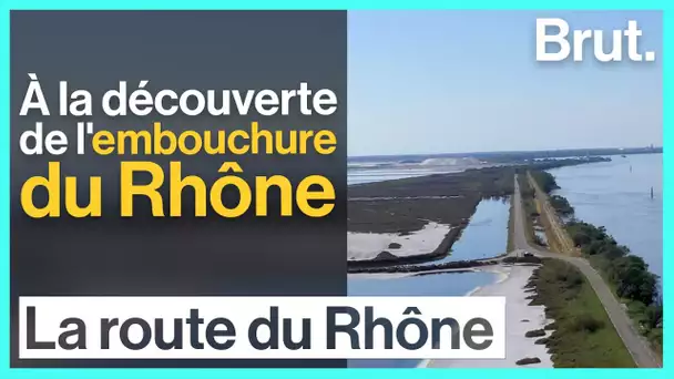 En Camargue, là où le fleuve devient mer - La Route du Rhône épisode 5