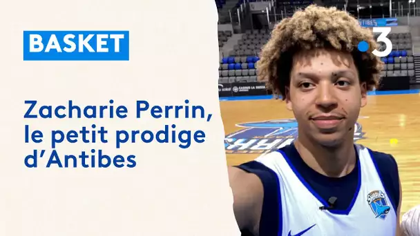 Basket : Zacharie Perrin, l'espoir d'Antibes