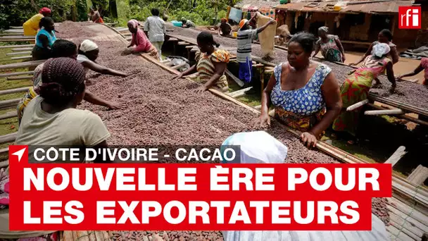 Côte d'Ivoire : nouvelle ère pour les exportateurs de cacao • RFI