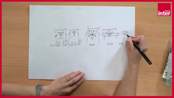 Qui du chat ou du singe est le plus expressif ? La leçon de dessin de Marion Montaigne