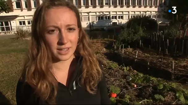 Quand le lycée agricole bouscule cours et programmes pour sensibiliser à l'environnement