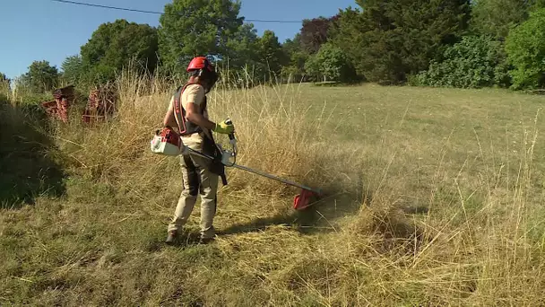 Incendie : débroussailler pour se protéger