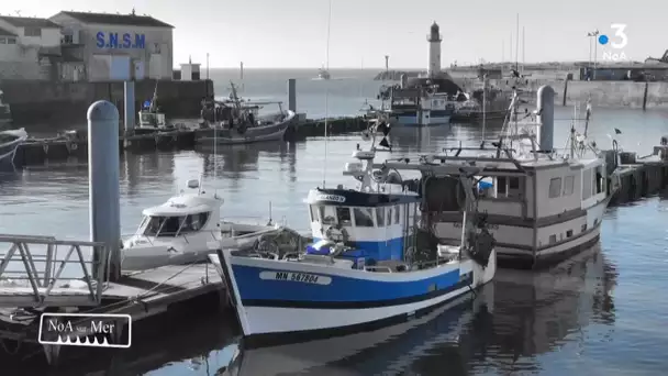 NoA sur Mer #6 - Les marins pêcheurs en Nouvelle-Aquitaine