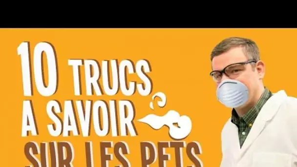 Top 10 des trucs à savoir sur les pets