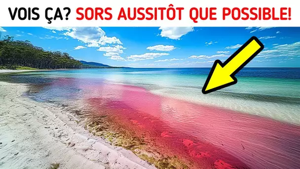 15 Phénomènes Que Vous Ne Croirez Pas Exister - Courez Avant qu'il ne Soit Trop Tard !