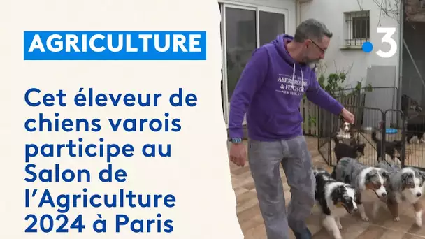 Cet éleveur de chiens varois participe au concours général du Salon de l'Agriculture 2024 à Paris