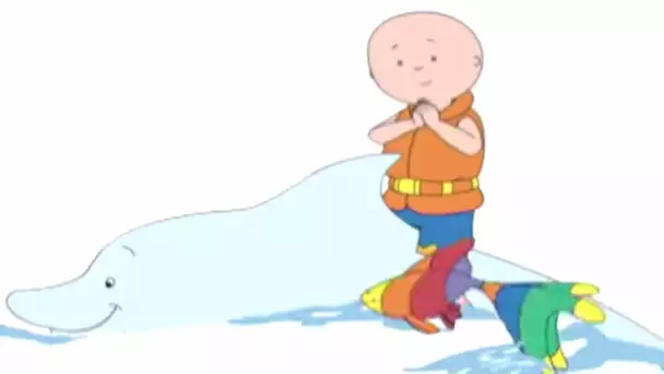 Caillou en Français | Caillou et les Animaux Marins | 411 | dessin animé | NOUVEL ÉPISODE HD