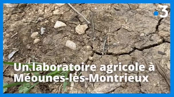 Var : une expérimentation agricole unique