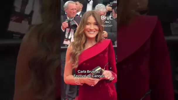 Carla Bruni au Festival de Cannes