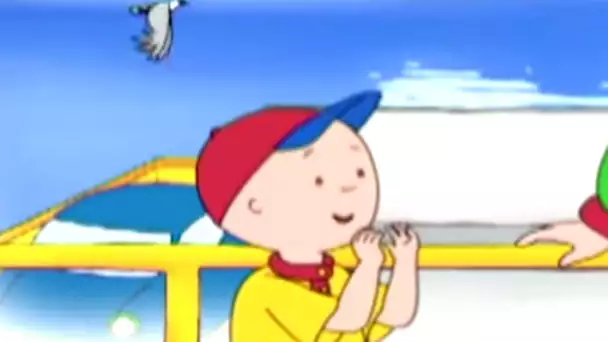 Caillou et le Ferry | Caillou en Français