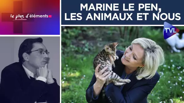 Marine Le Pen, les animaux et nous - Le Plus d’Éléments #18 - TVL