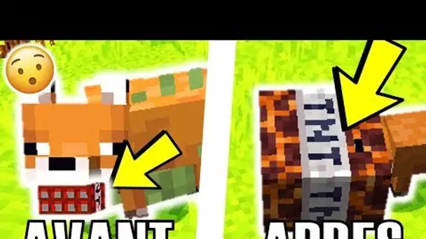 Ces NOUVELLES TNT MINECRAFT 1.14 sont ULTRA DANGEREUSES !