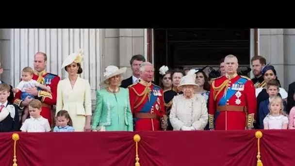 Harry et William fâchés  comment le palais veut donner l’image d’une famille unie