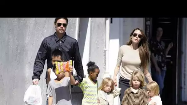 Brad Pitt brisé par Angelina Jolie, cinq ans sans ses petits, son cri du cœur