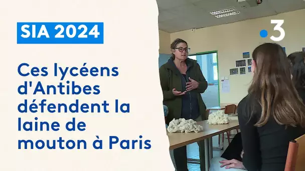 #SIA2024 Ces lycéens d'Antibes vont défendre la laine de mouton à Paris