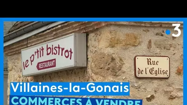 Sarthe : Villaines-la-Gonais, commerces cherchent repreneurs