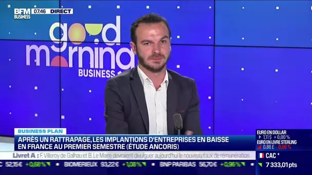 Guillaume Gady (Ancoris) : L'implantation d'entreprises en baisse en France