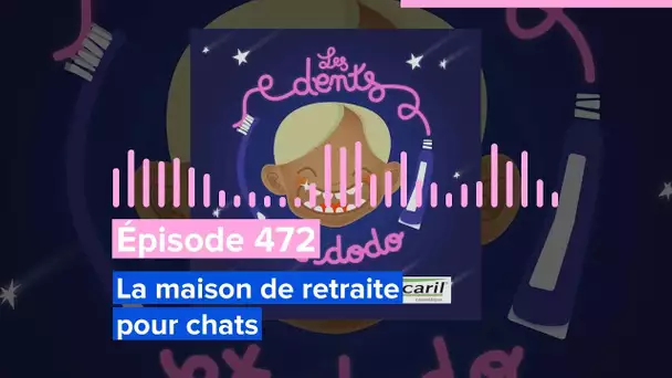 Les dents et dodo - Épisode 472: La maison de retraite pour chats