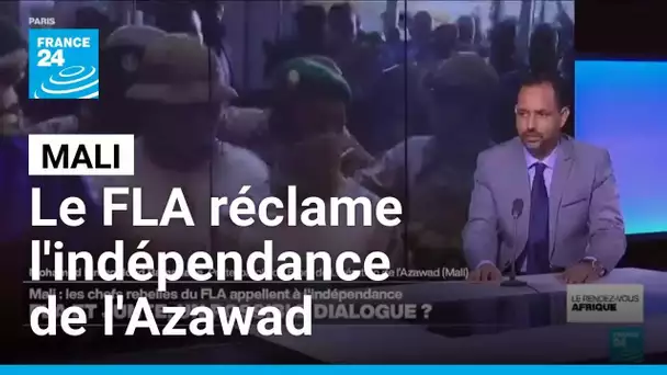 Mali : le FLA réclame l'indépendance de l'Azawad • FRANCE 24