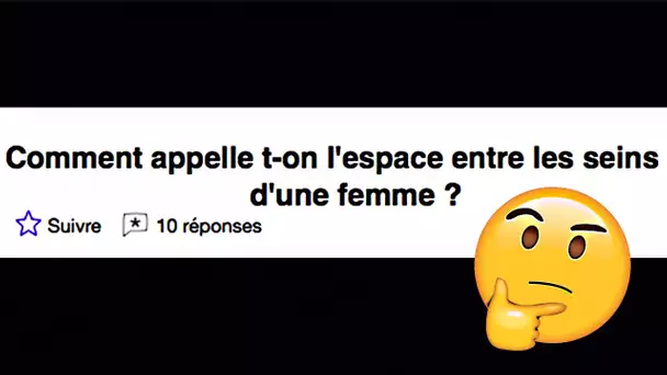 LES PIRES QUESTIONS YAHOO ANSWERS - (le Vendredi des Vrais!)