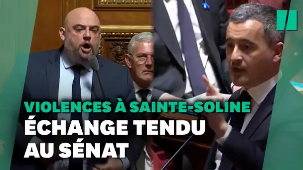 Après Sainte-Soline, "vous ne pourrez pas éborgner à huis clos", lance un sénateur écolo à Darmanin