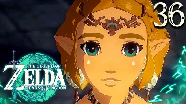 Zelda Tears of the Kingdom #36 : Le POUVOIR de ZELDA !