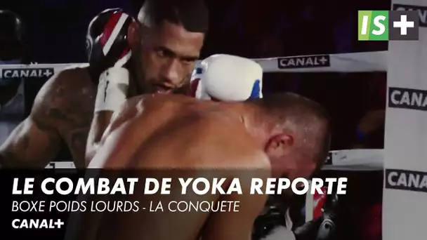 Le combat de Tony Yoka contre Bakole reporté - Boxe poids lourds