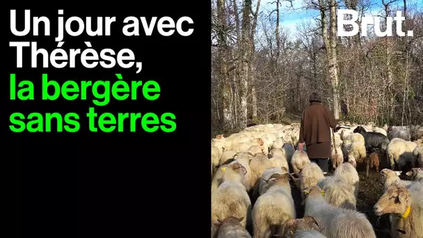 "C'est une belle vie" : un jour en Dordogne avec Thérèse, la bergère sans terres