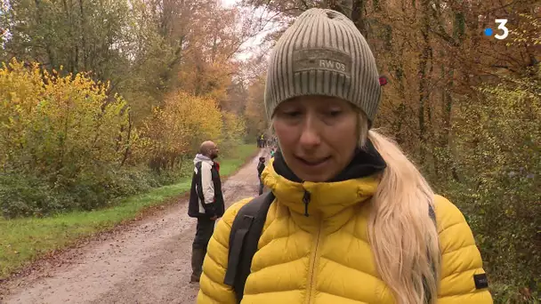 Disparition de Chantal Soulier : des bénévoles participent à la battue de recherches près de Franois