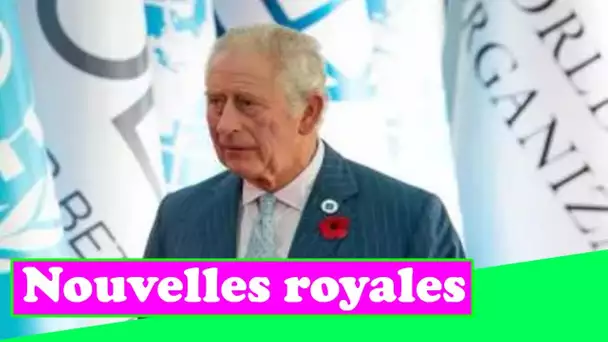 Le prince Charles «dépasse la marque» avec sa dernière intrusion dans le débat «politique» sur le cl