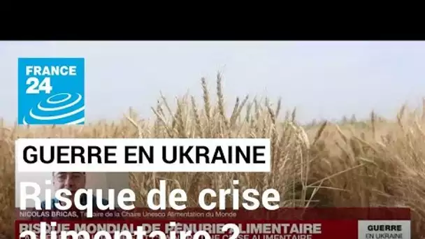 Guerre en Ukraine : doit-on craindre une crise alimentaire ? • FRANCE 24
