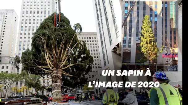 Cette année, le sapin du Rockefeller Center est fidèle à l'ambiance 2020