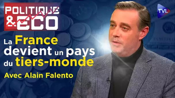 Ukraine/euro : le coup d'Etat permanent de Bruxelles - Politique & Eco n°368 avec Alain Falento